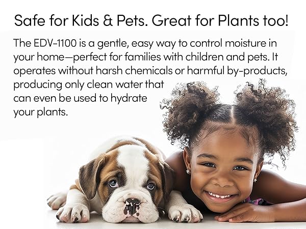 Eva-Dry EDV-1100 Petite dehumidifier. Safe for Kids and Pets.