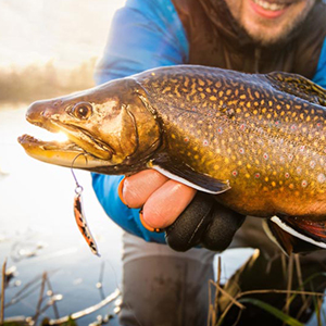 trout fishing