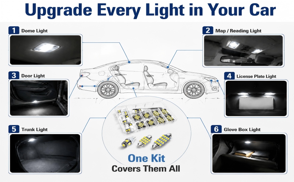 Light Bulb for Car