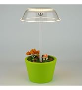 WEILAILUX LED Rechargeable Cordless Plant Lamp, Touch Dimmable Flower Pot Lamp, Portable Waterpro...