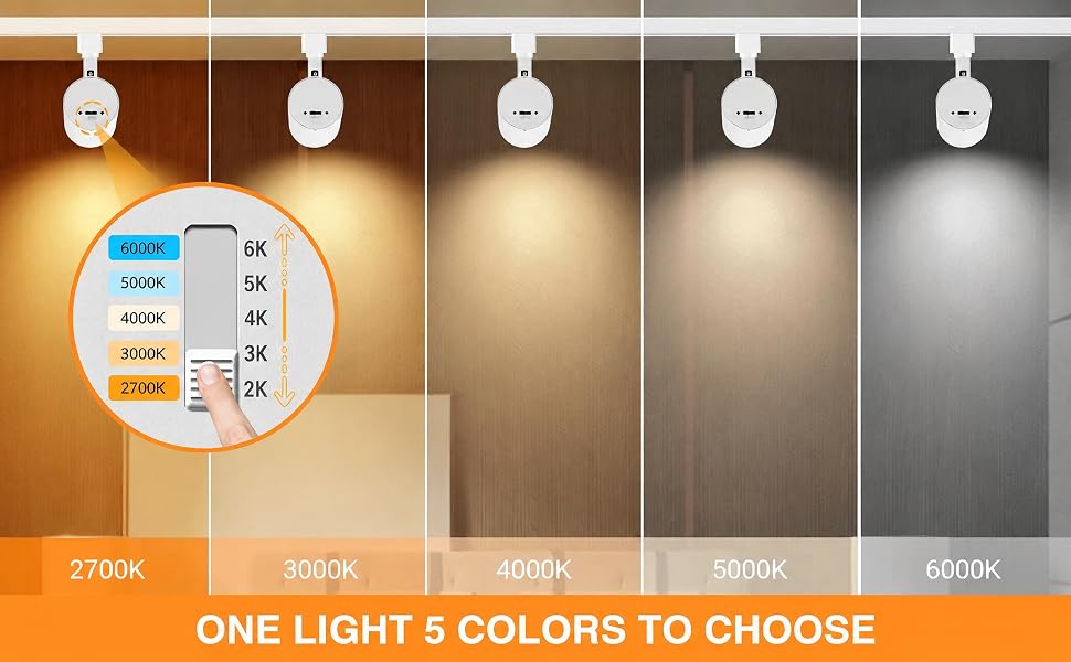 5 color track light heads