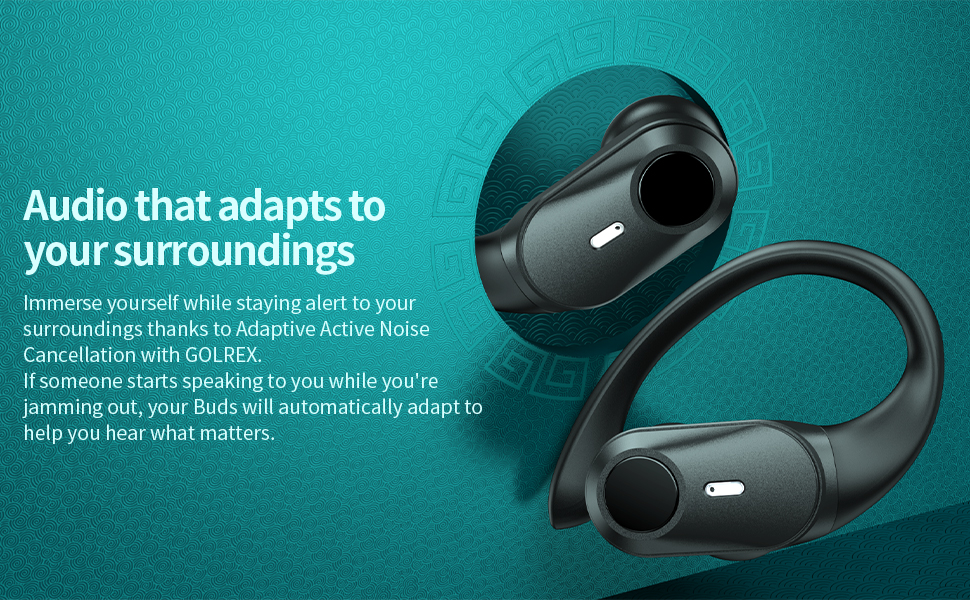 Noise Cancelling Earbuds