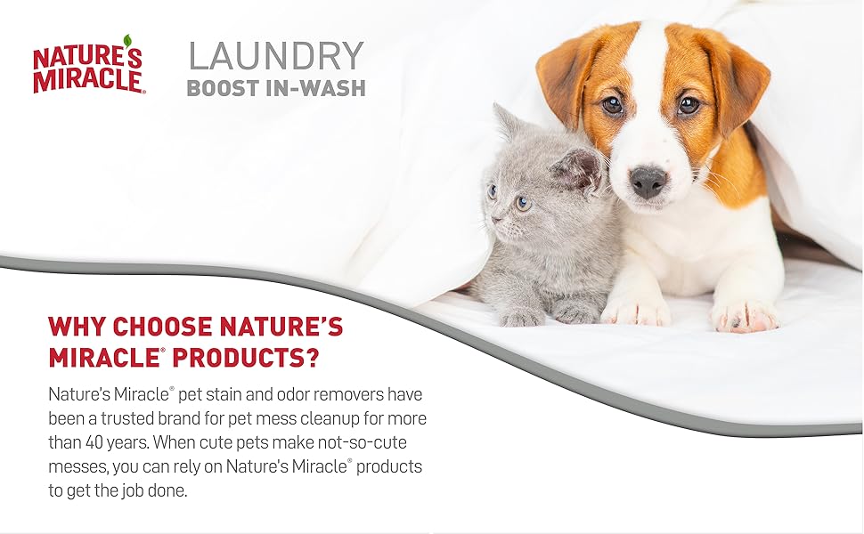 Laundry Boost in Wash