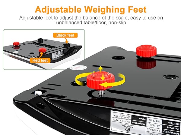 Commercial food scale