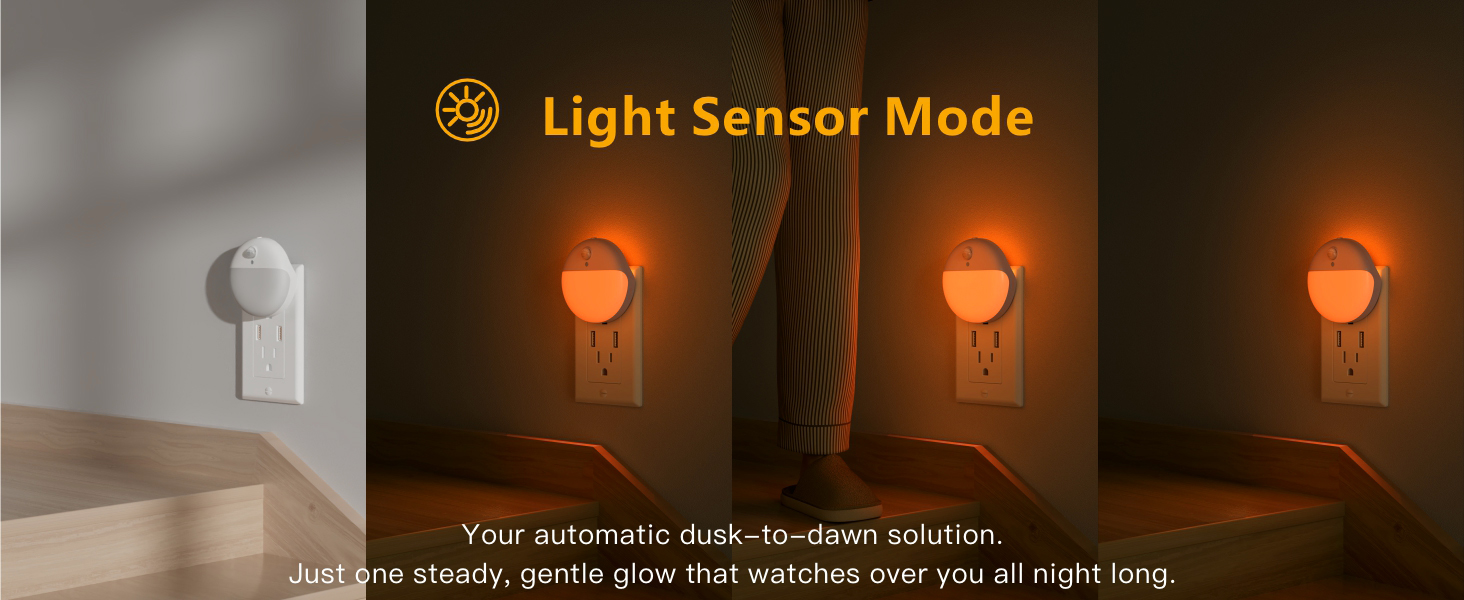 dusk to dawn sensor night light