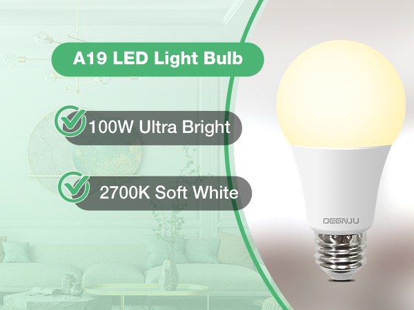 A19 LED Bulbs