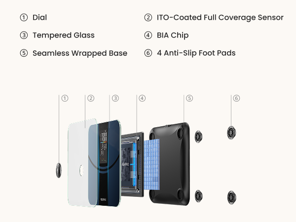 Smart Scale for Body Weight, Weight Scale with VA Large Display for BMI, Body Fat, Muscle Mass