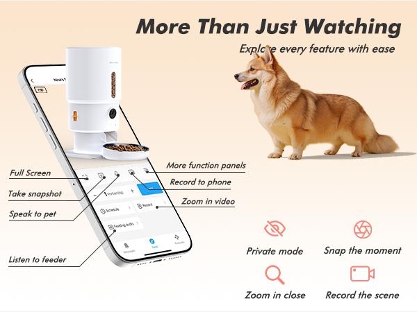 automatic cat feeder cat food dispenser automatic dog feeder cat automatic feeder pet feeder