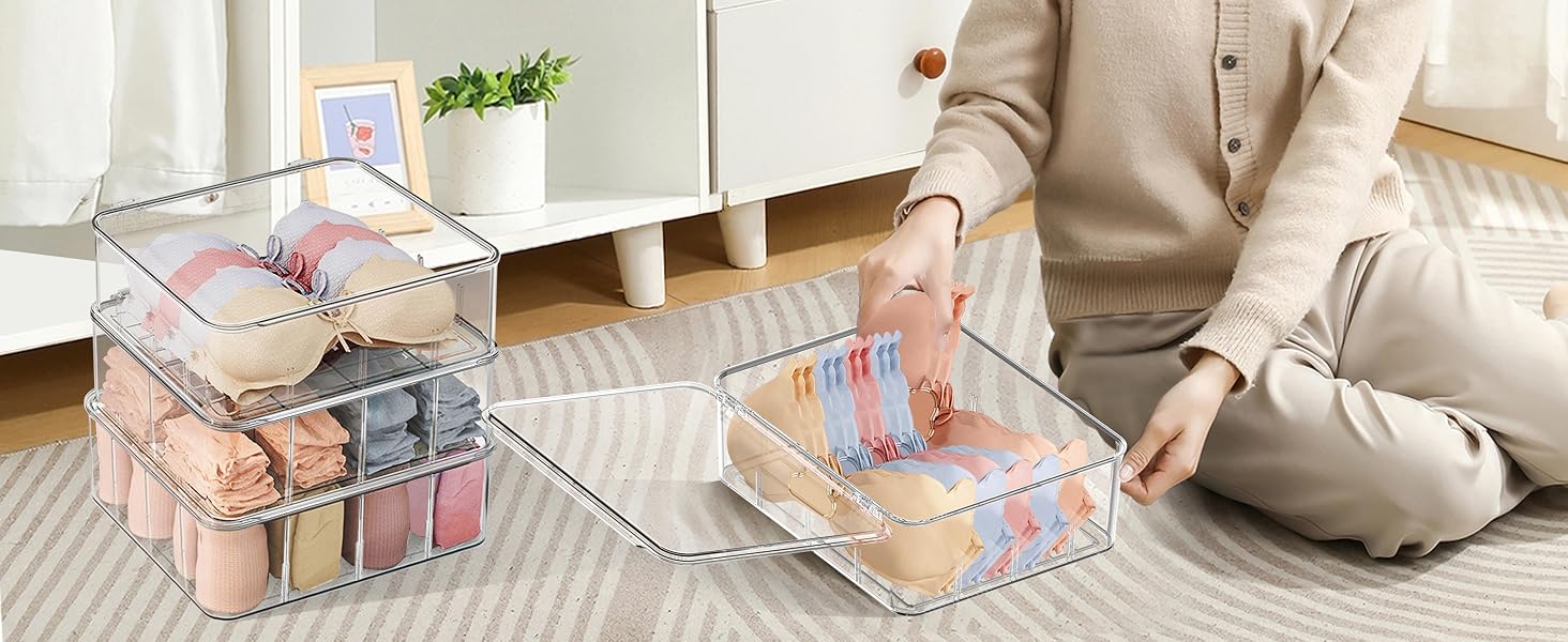 Underwear Socks Organizer