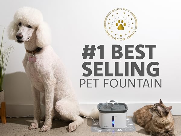 dog water fountain water fountain for cats inside pet fountain