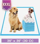 xxl pee pads for dogs