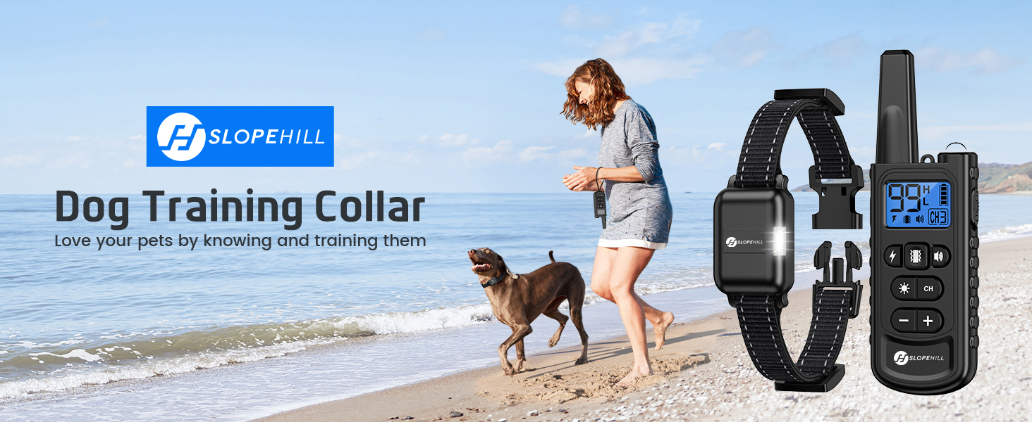 dog training collar