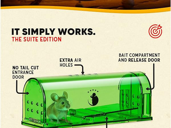 Humane Mouse Traps