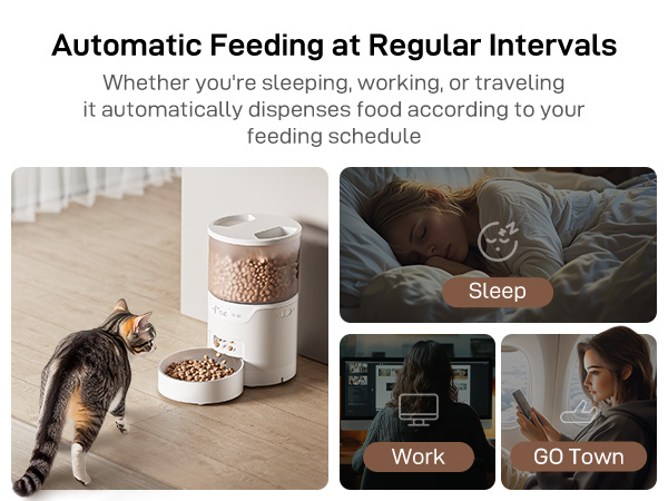 precise portion sizes