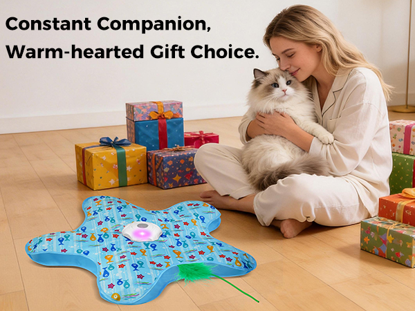 cat toys