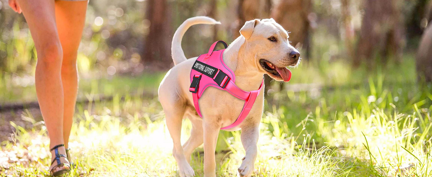 hot pink service dog harness