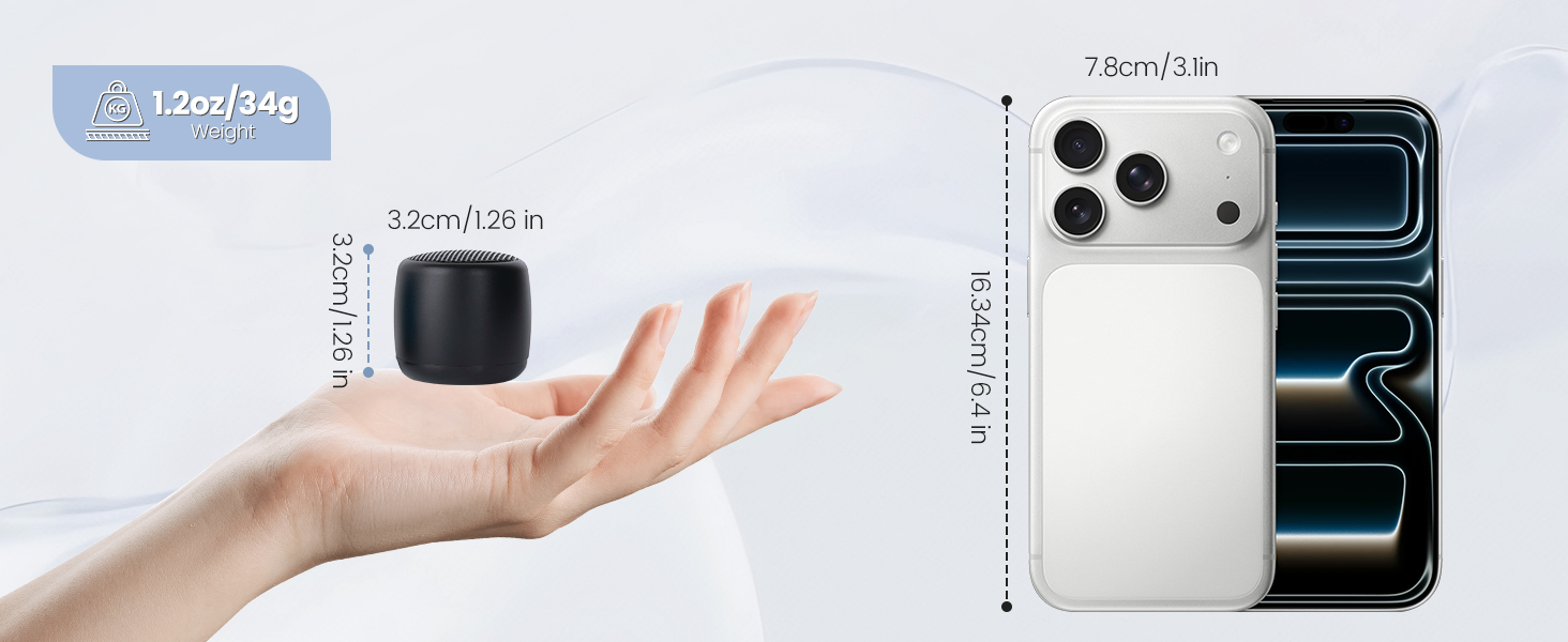 Portable Wireless Speaker