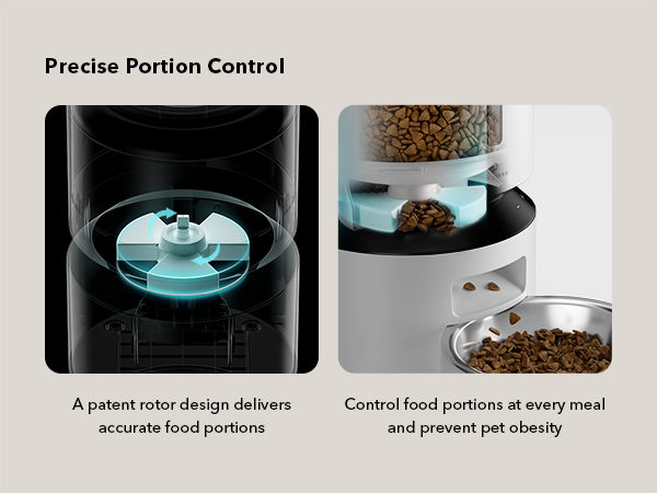 dog feeder automatic