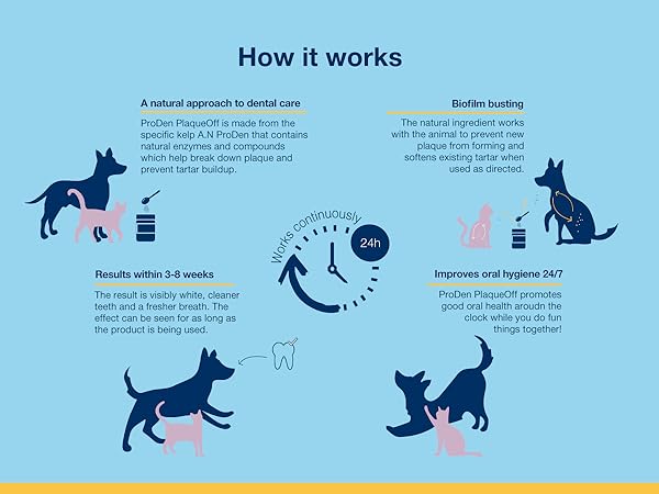 How ProDen works