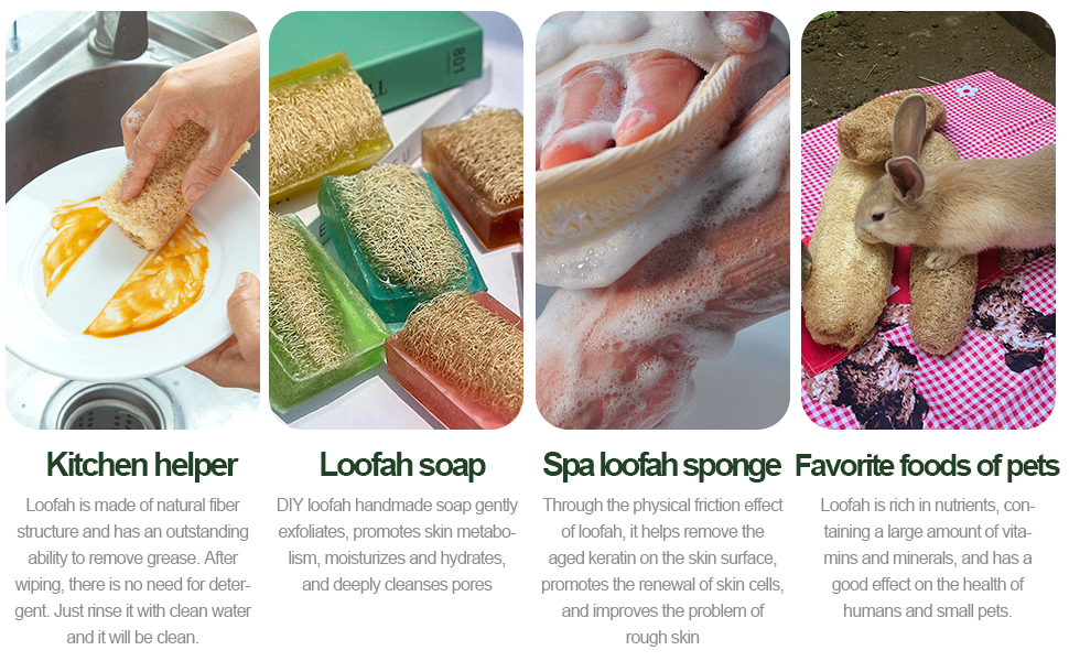 Loofah soap