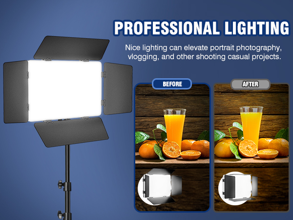 studio lights for photography