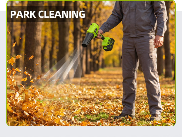 Cordless Leaf Blower