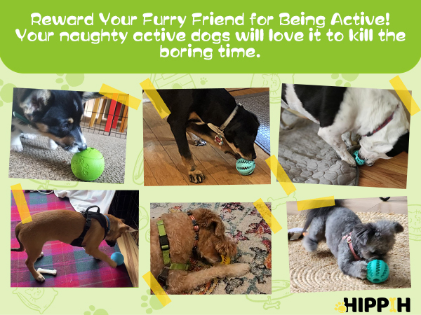 dog treat toys interactive 