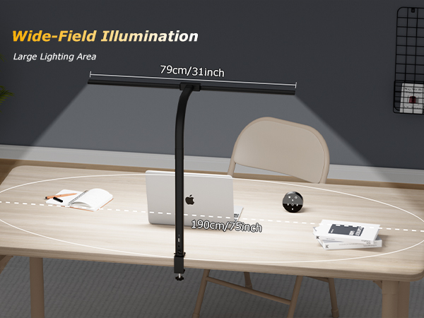 Wid-Field Illumination