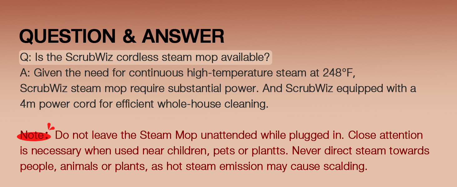 steam cleaner mop