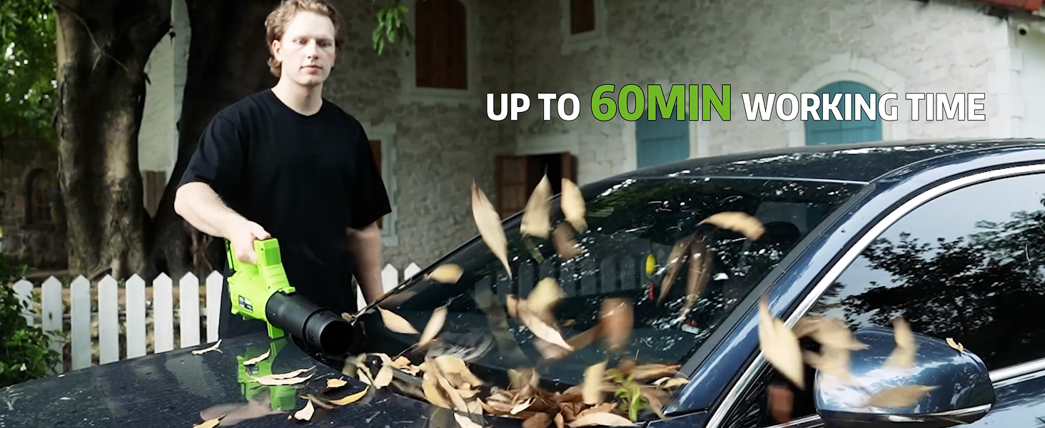 Leaf Blower Cordless