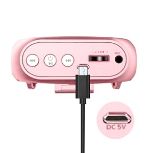 voice amplifier classroom