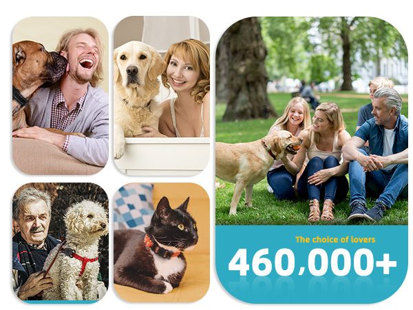 Popular pet trackers
