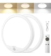 OSIDEN 2 Pack Rechargeable Motion Sensor Ceiling Light with Remote for Shower Shed Hallway Porch ...