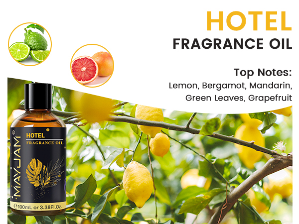 fragrance oil for candle making