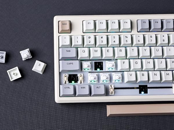 a computer keyboard with a white keyboard and a black and white dice.