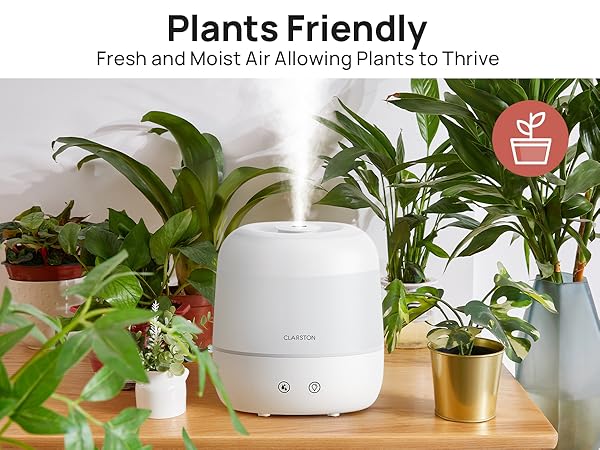 Plants Friendly. Fresh and Moist Air Allowing Plants to Thrive