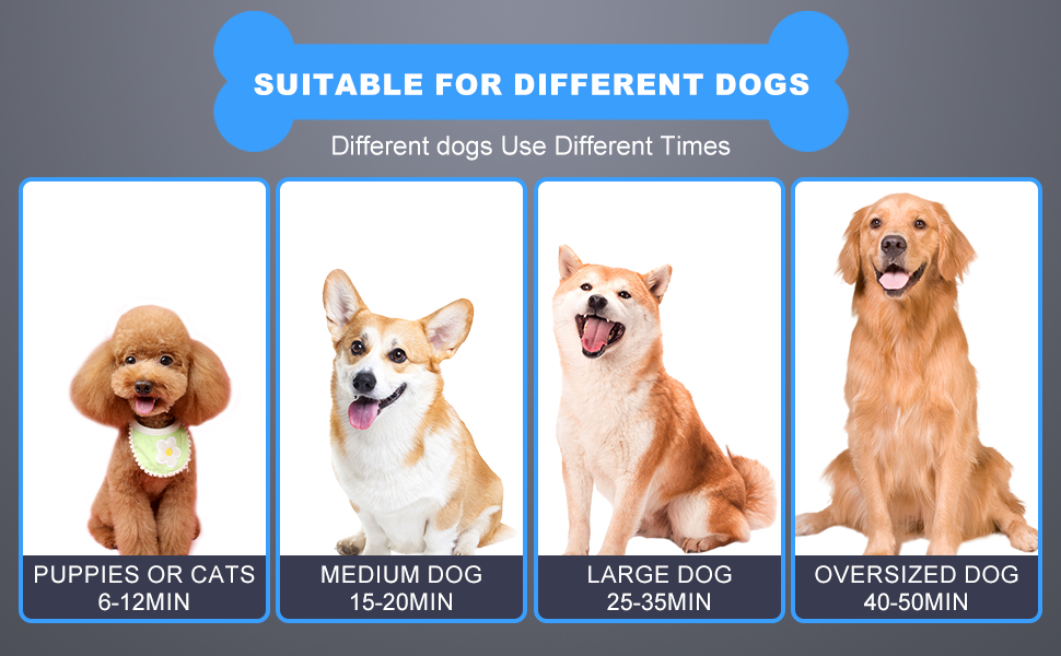 5.2HP/3800W Pet Grooming Dryer