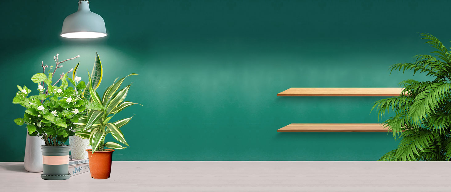 SANSI Smart Grow Light 10W