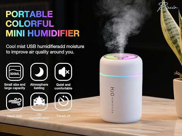 Portable Mini Humidifier