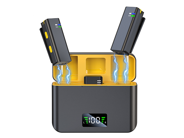 2 IN 1 MICROPHONE WITH BATTERY CASE