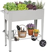 Permade Elevated Raised Garden Bed with Legs- Galvanized Raised Beds for Gardening on Wheels, Ant...