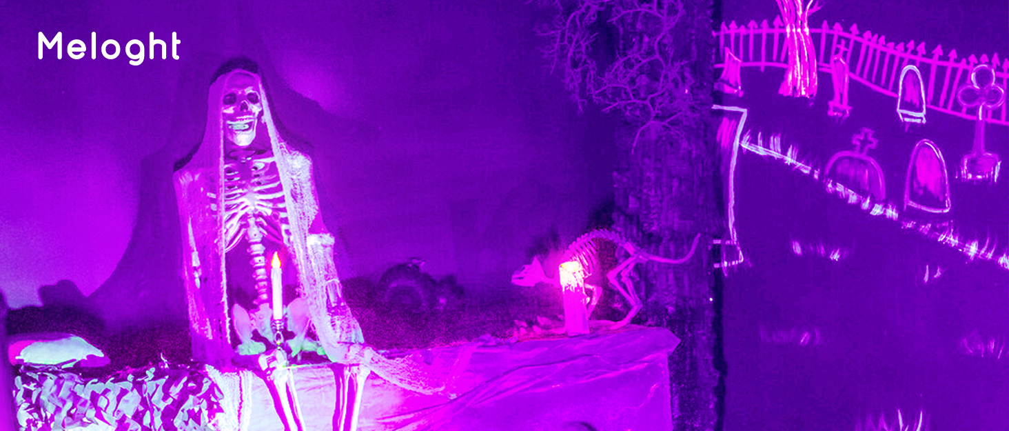 black light for halloween