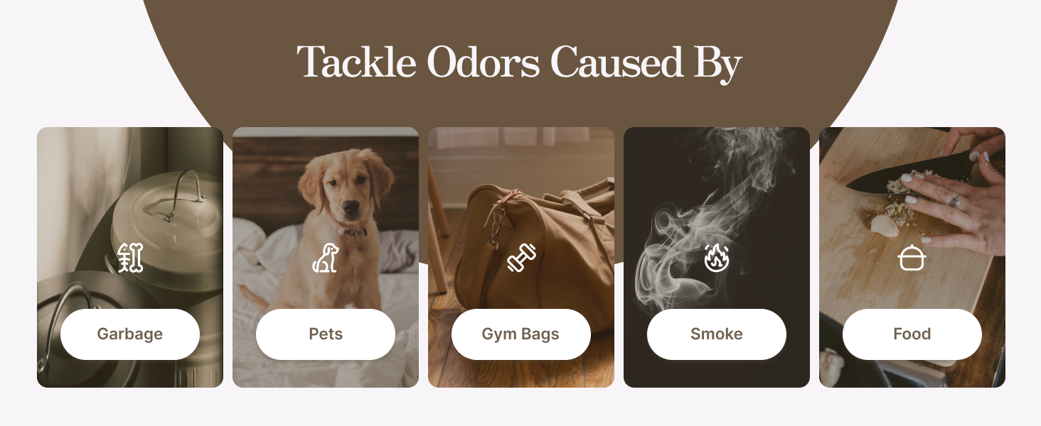 tackle odors caused by garbage, pets, gym bags, smoke, and food