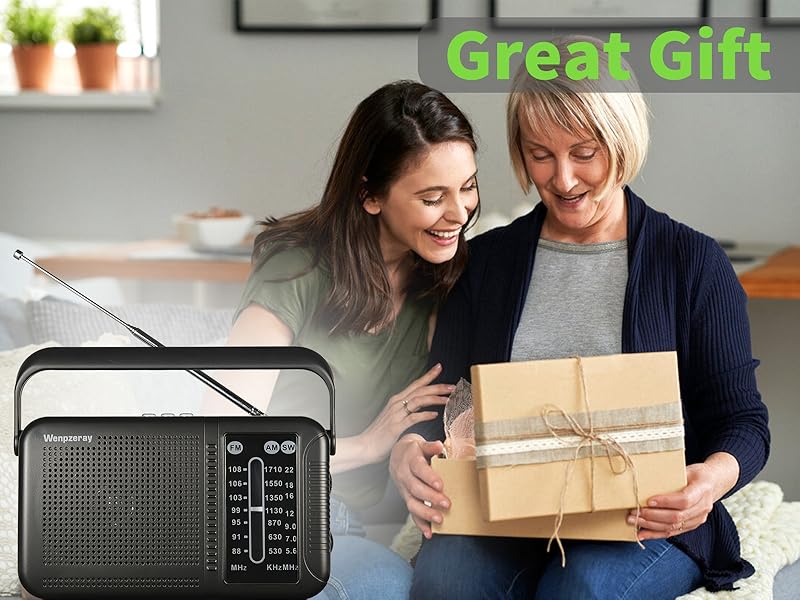 The D219 radio is a great gift for the people around you