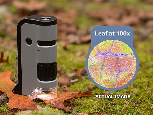 carson microflip, leaf cells under microscope, pocket microscope, field study, handheld microscope