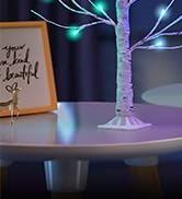 Ariceleo 2FT Lighted Birch Tree with RGB LED Lights, USB Powered, Timer &amp; APP Control, 24 LED, Ta...