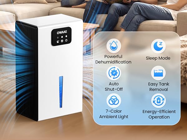 dehumidifiers for home
