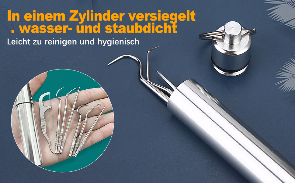 Stainless Steel Toothpick Set