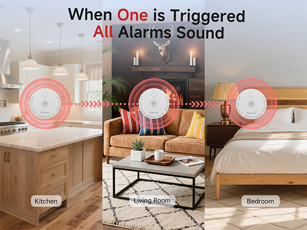 interlinked smoke alarm