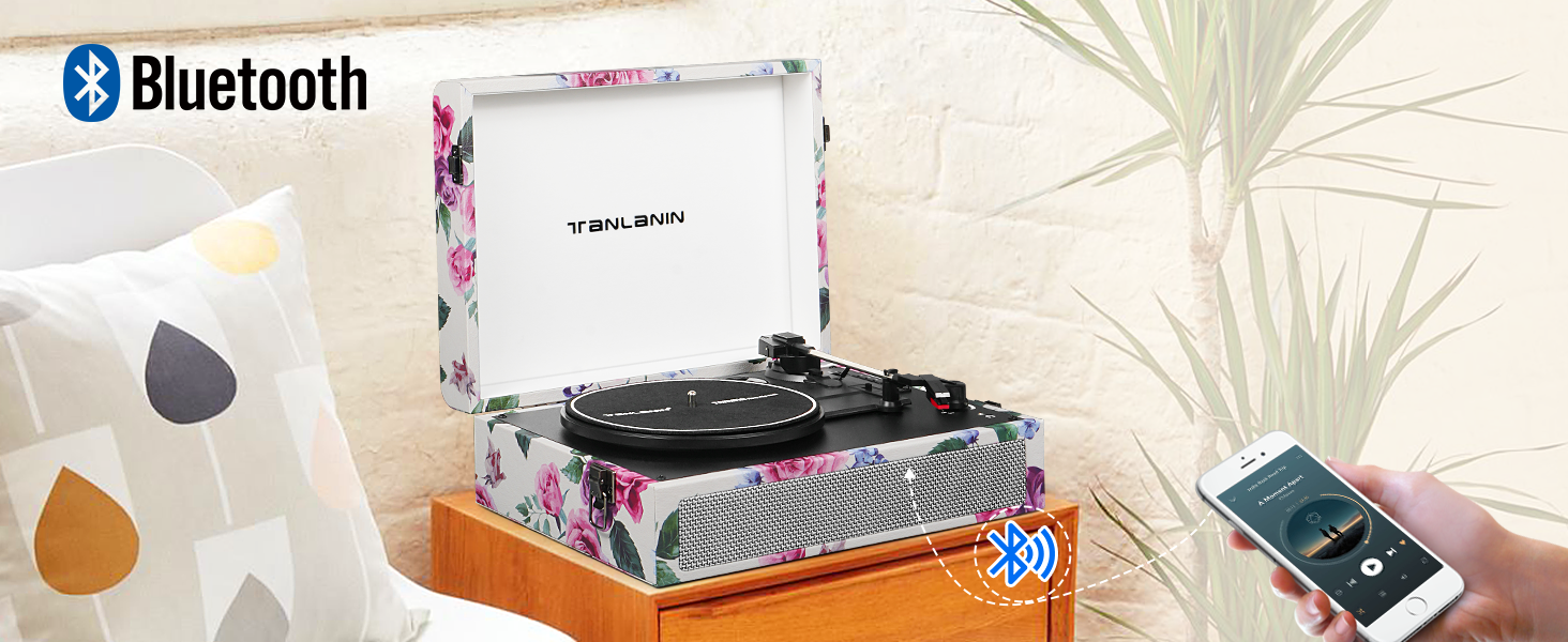 vinyl record player 